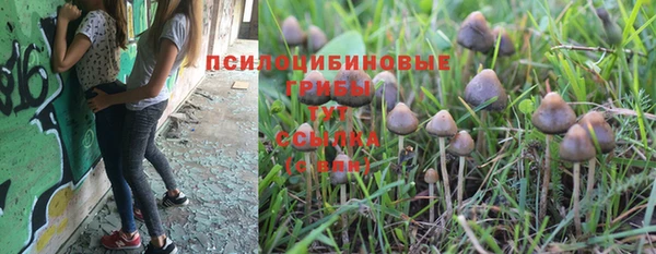 mdpv Балабаново