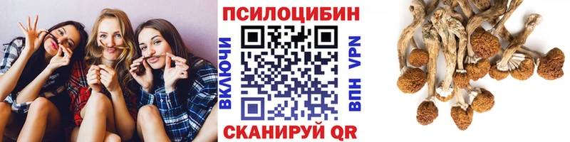 магазин продажи наркотиков  Заволжск  Псилоцибиновые грибы мухоморы 
